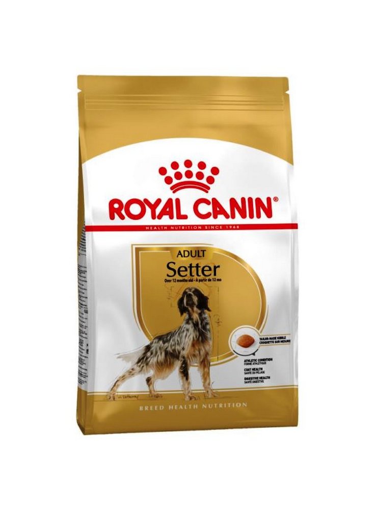 06065639_royal%20canin%20setter